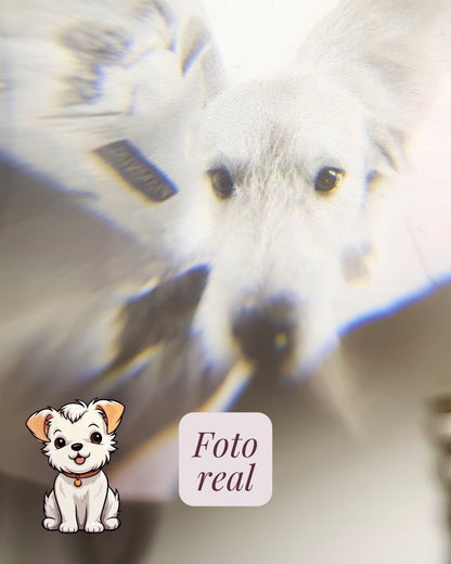 Collar Mascota Micro Grabado con Proyección