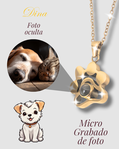 Collar Micro grabado con proyección a color