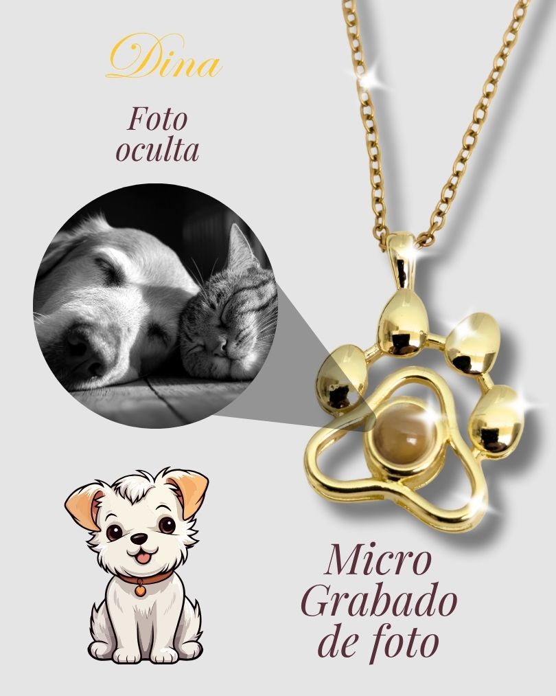 Collar Mascota Micro Grabado con Proyección