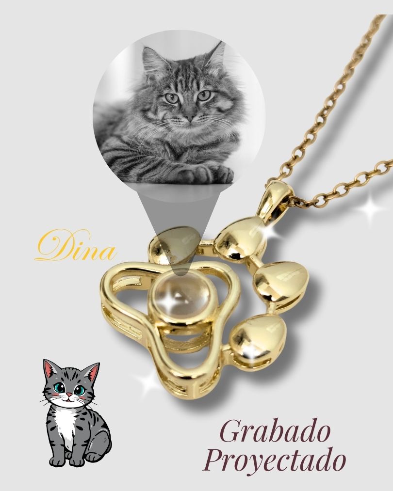 Collar Mascota Micro Grabado con Proyección