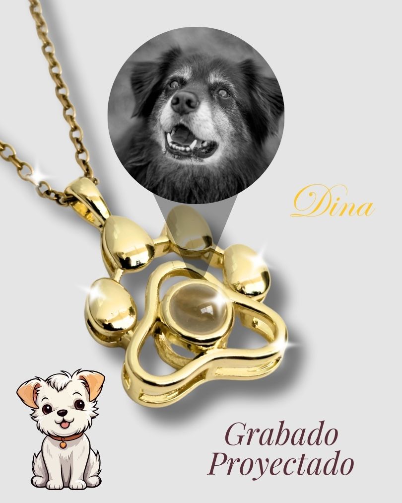 Collar Mascota Micro Grabado con Proyección
