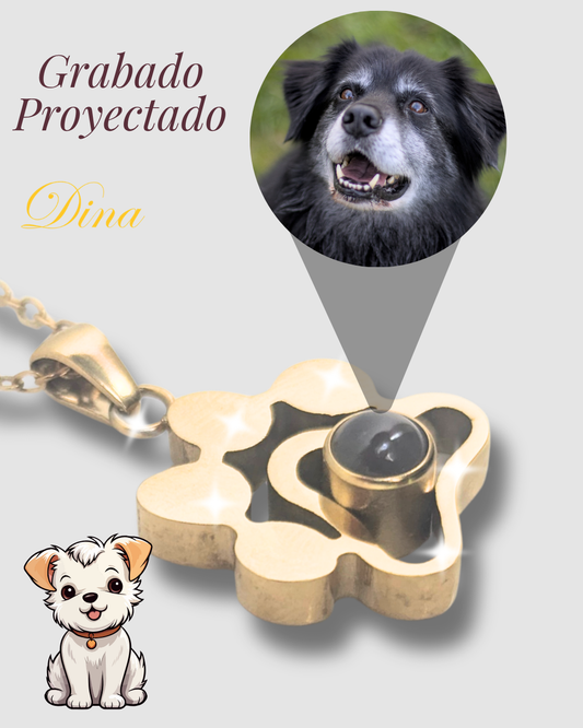 Collar Micro grabado con proyección a color