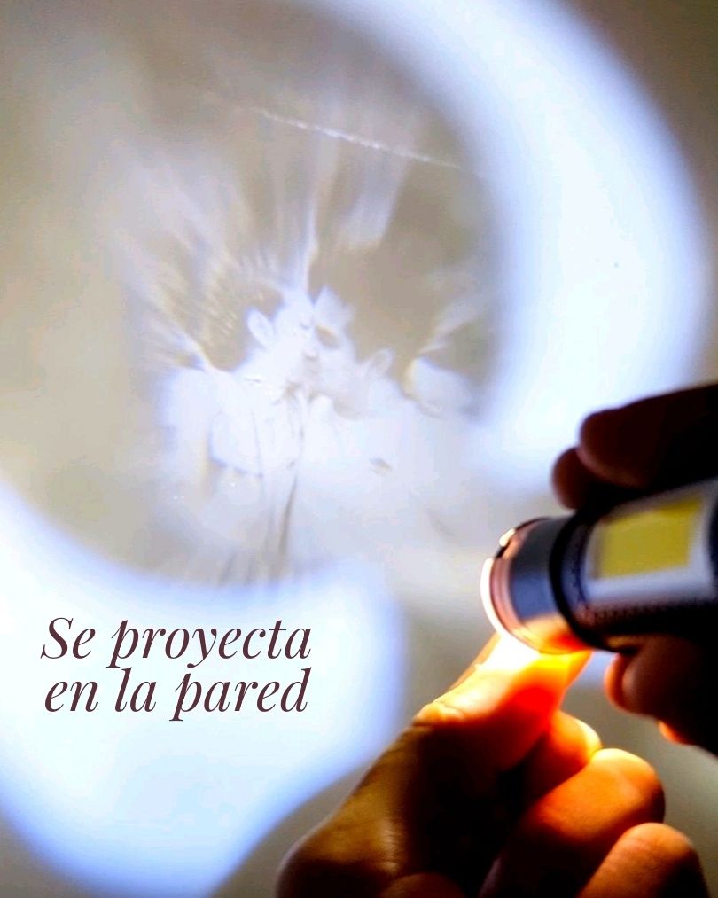 Collar Micro grabado con proyección en acero