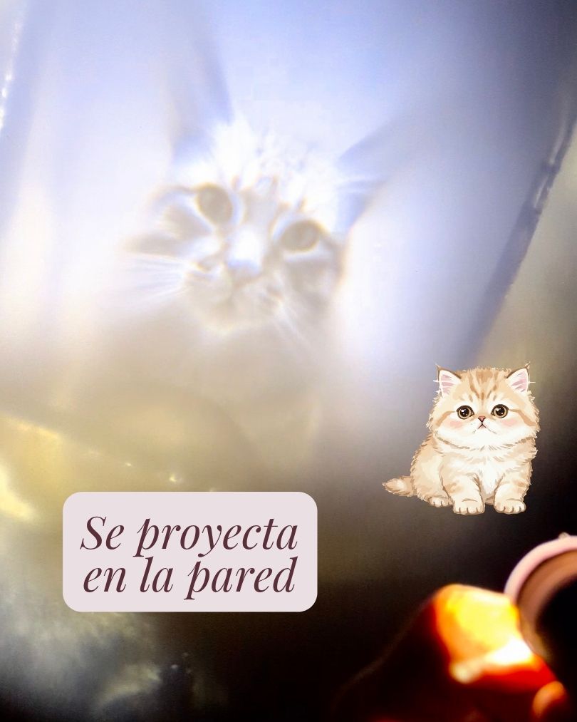 Collar Mascota Micro Grabado con Proyección