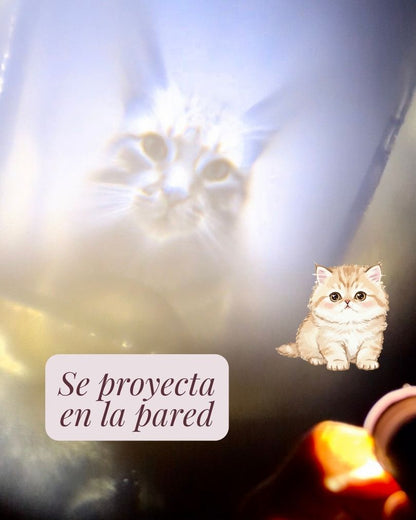 Collar Mascota Micro Grabado con Proyección