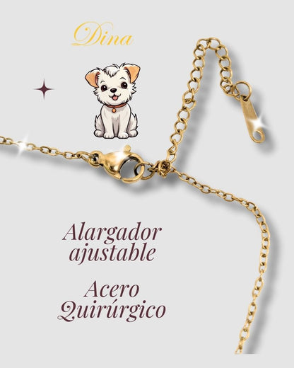 Collar Mascota Micro Grabado con Proyección