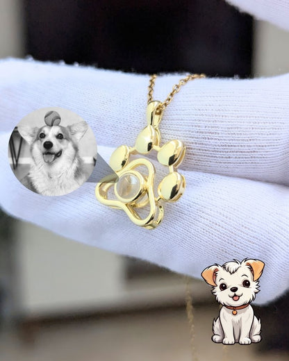 Collar Mascota Micro Grabado con Proyección